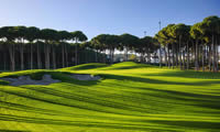 carya golf club